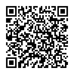 2次元コード_アーカイブ3日目